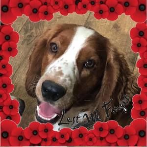 Meet your Posher, Betsie